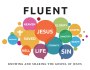 Highlights from the Fluent Series